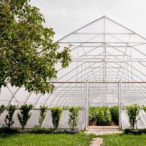 Şantiye Çadırı Seçerken Dikkat Edilmesi Gereken 5 Kritik Özellik